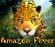 Amazon Fever